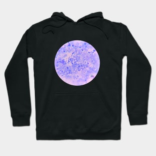 Science pattern Hoodie